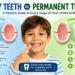 Baby Teeth vs Permanent Teeth